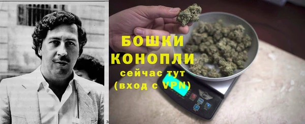 ПСИЛОЦИБИНОВЫЕ ГРИБЫ Михайловка