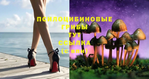 метадон Мегион