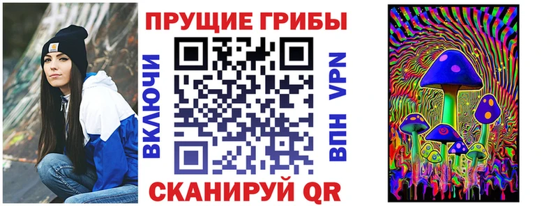 закладка Новоаннинский ссылка на мегу сайт Псилоцибиновые грибы GOLDEN TEACHER